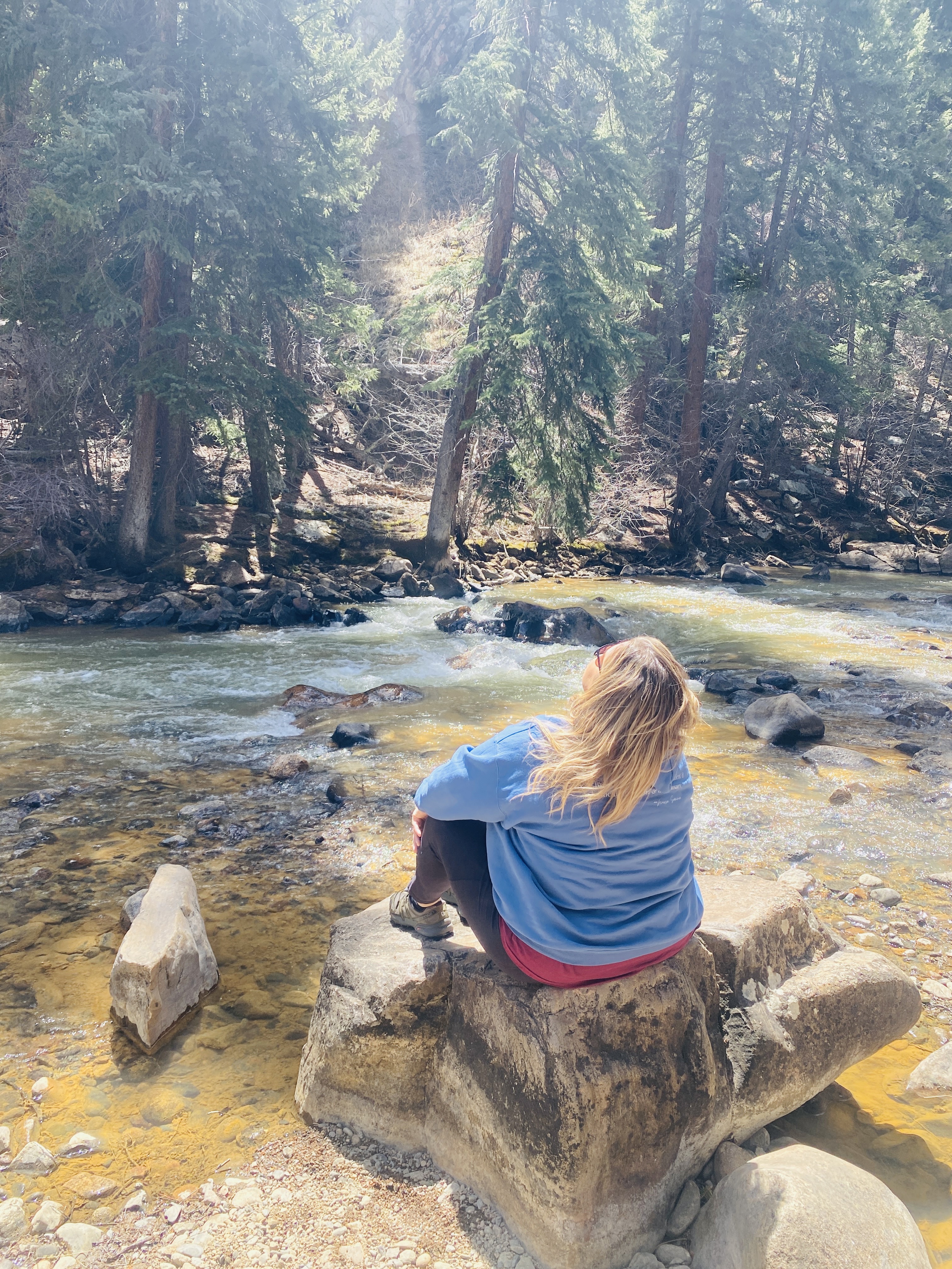 Sammie's Blog: ELEVATED INSITES